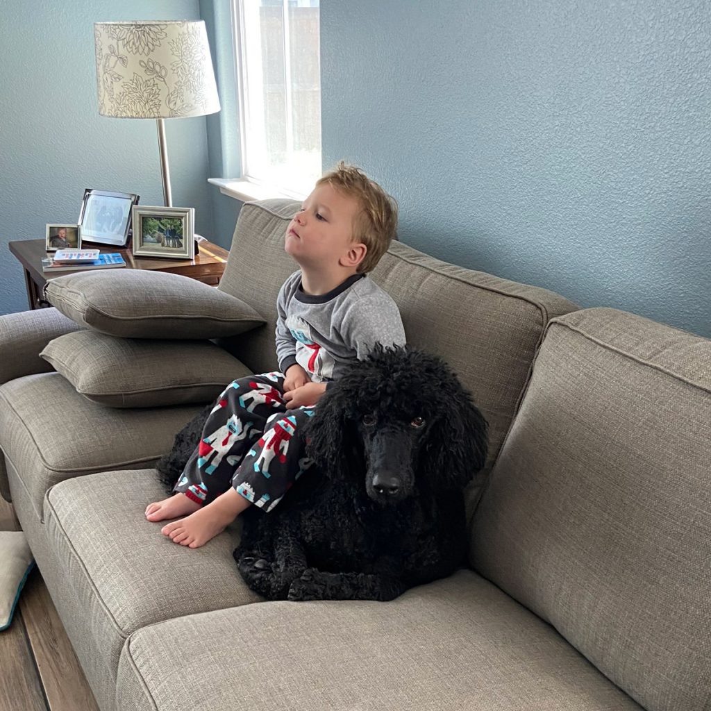 Child sitting on a dog